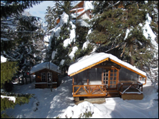 Vila harmony Sinaia
